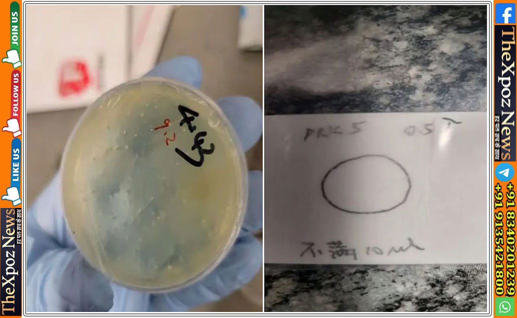 America-Chinese-Scientist-Arrested