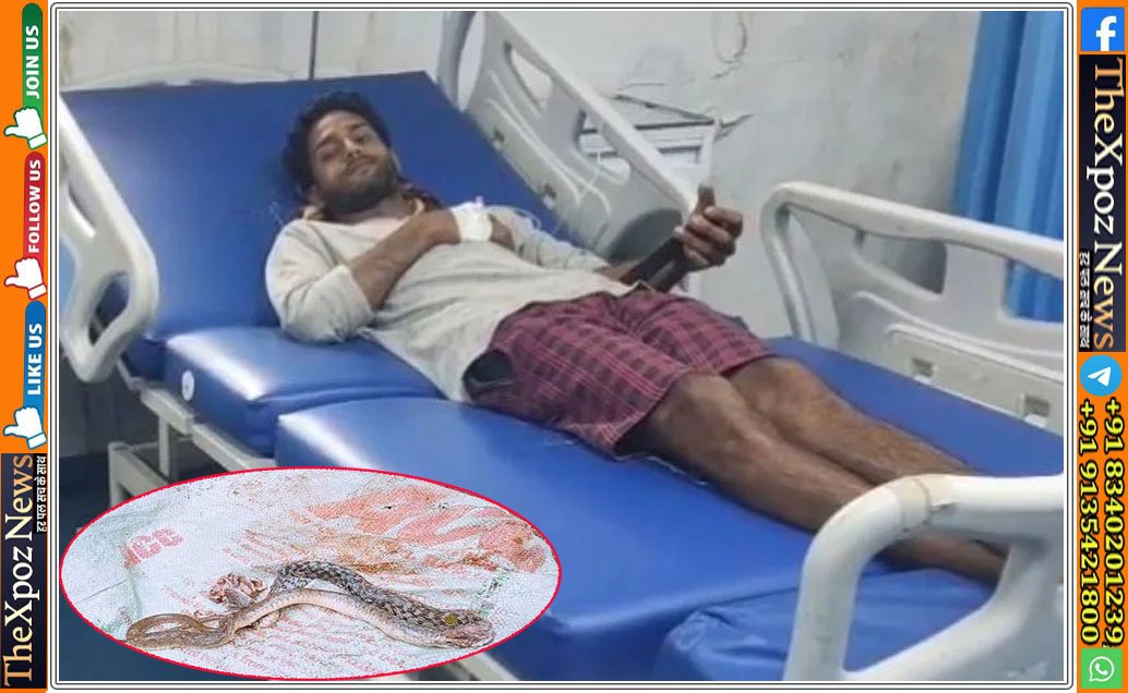 MP-Balaghat-Snake-Bite
