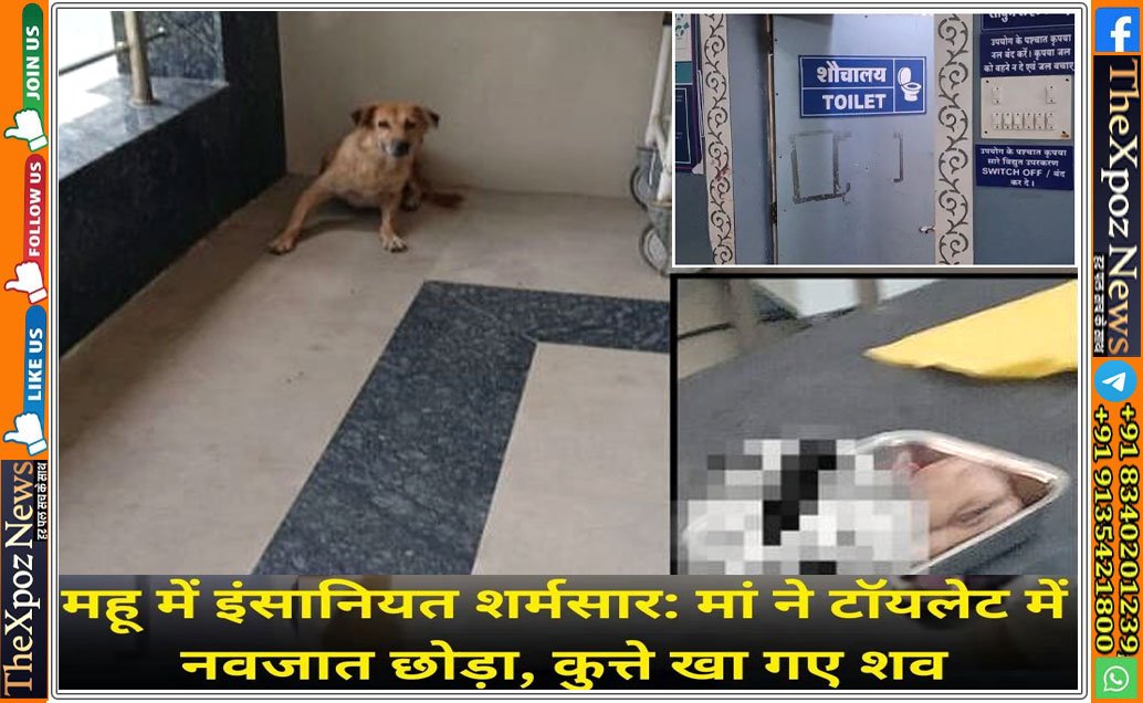 MP-Mahu-Dog-Born-Baby-Body-Hospital