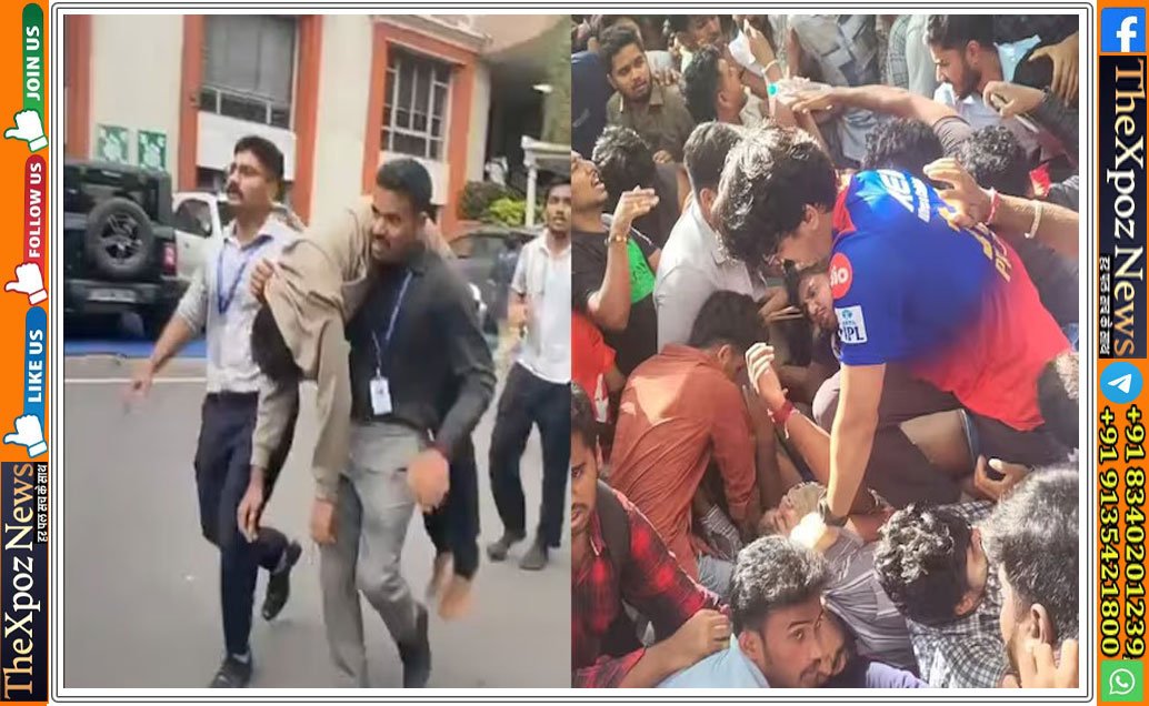 rcb-bengluru-stempede