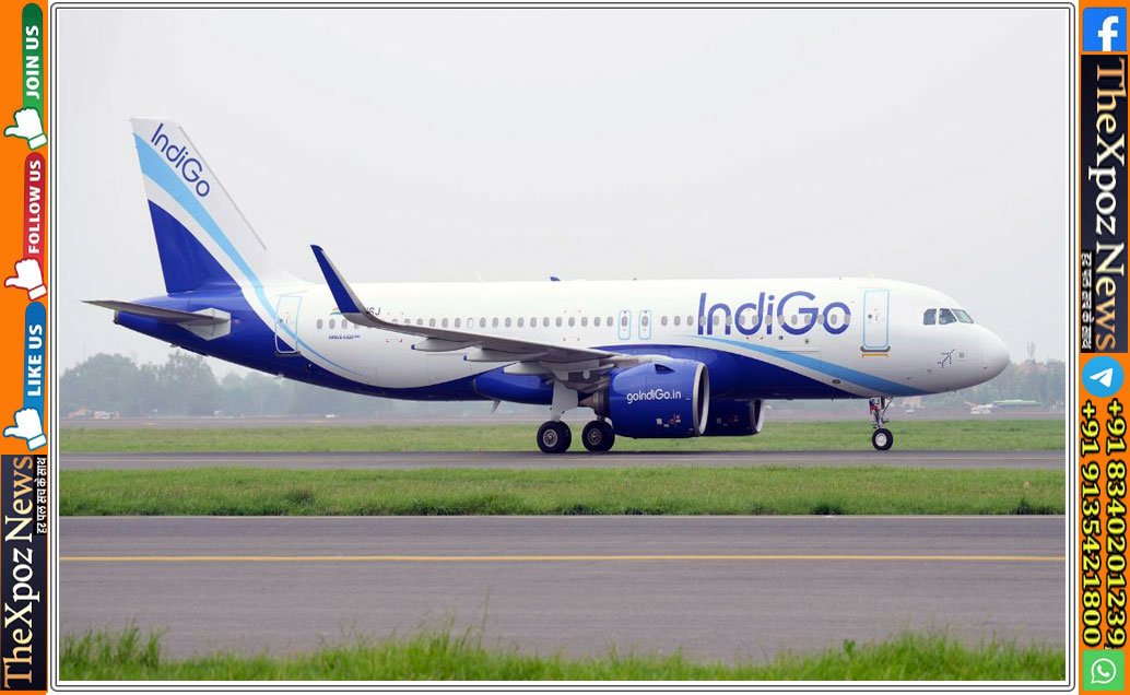 Indigo-Tyre