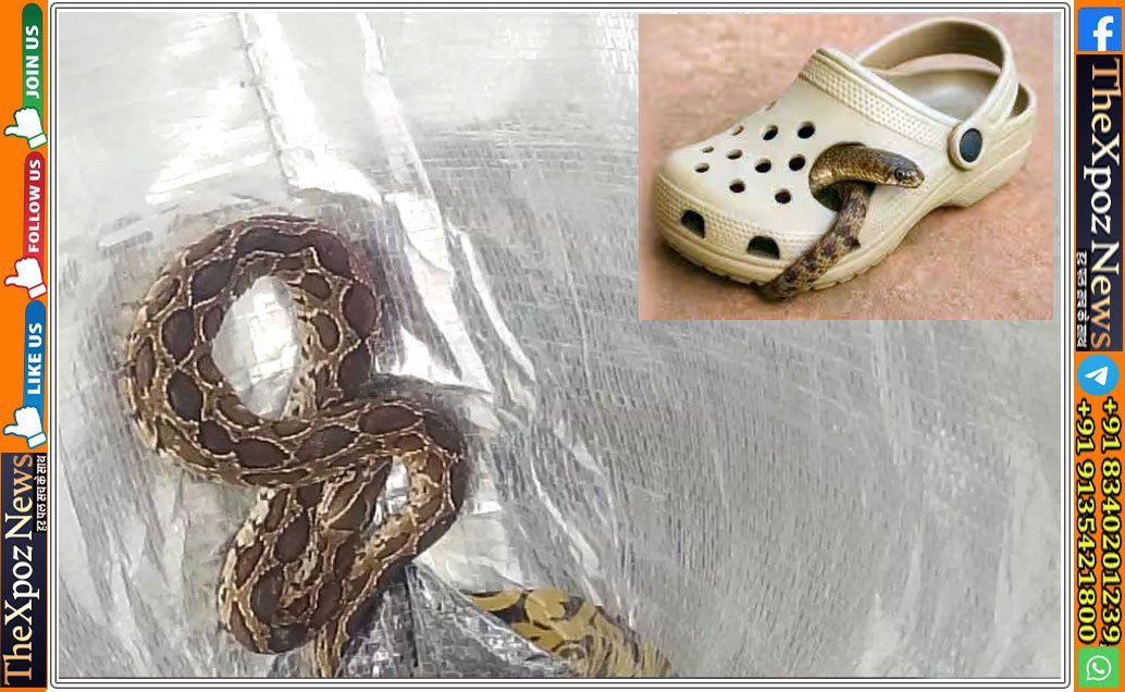 Karnataka-Snake-in-Sleeper-Death