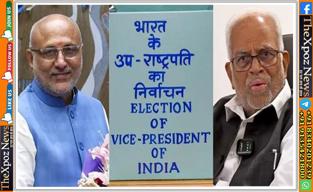 vice-president-eletion