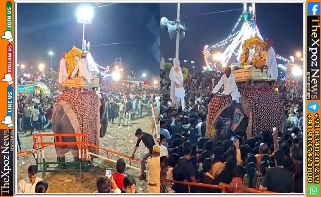 Kota-Elephant-Hungama