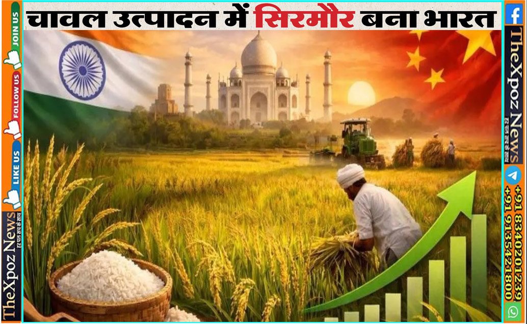 भारत ने चावल उत्पादन में चीन को पछाड़ा, 15.18 करोड़ टन के साथ बना दुनिया का सबसे बड़ा उत्पादक देश