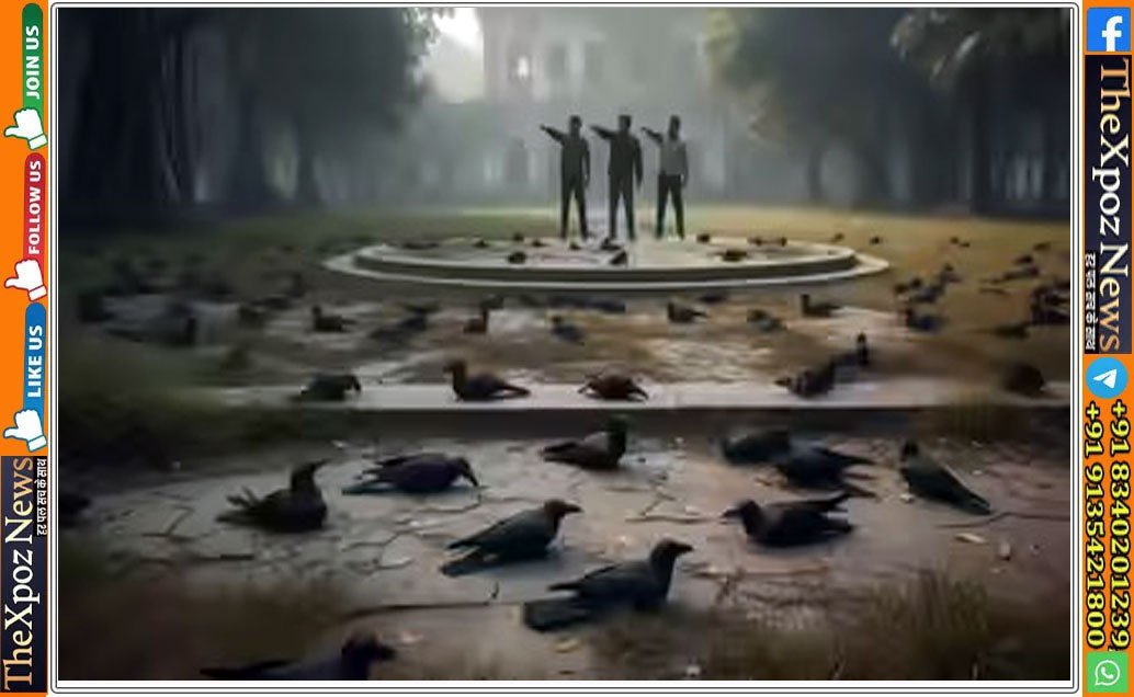 fear-of-bird-flu-google-gemini-ai-picture